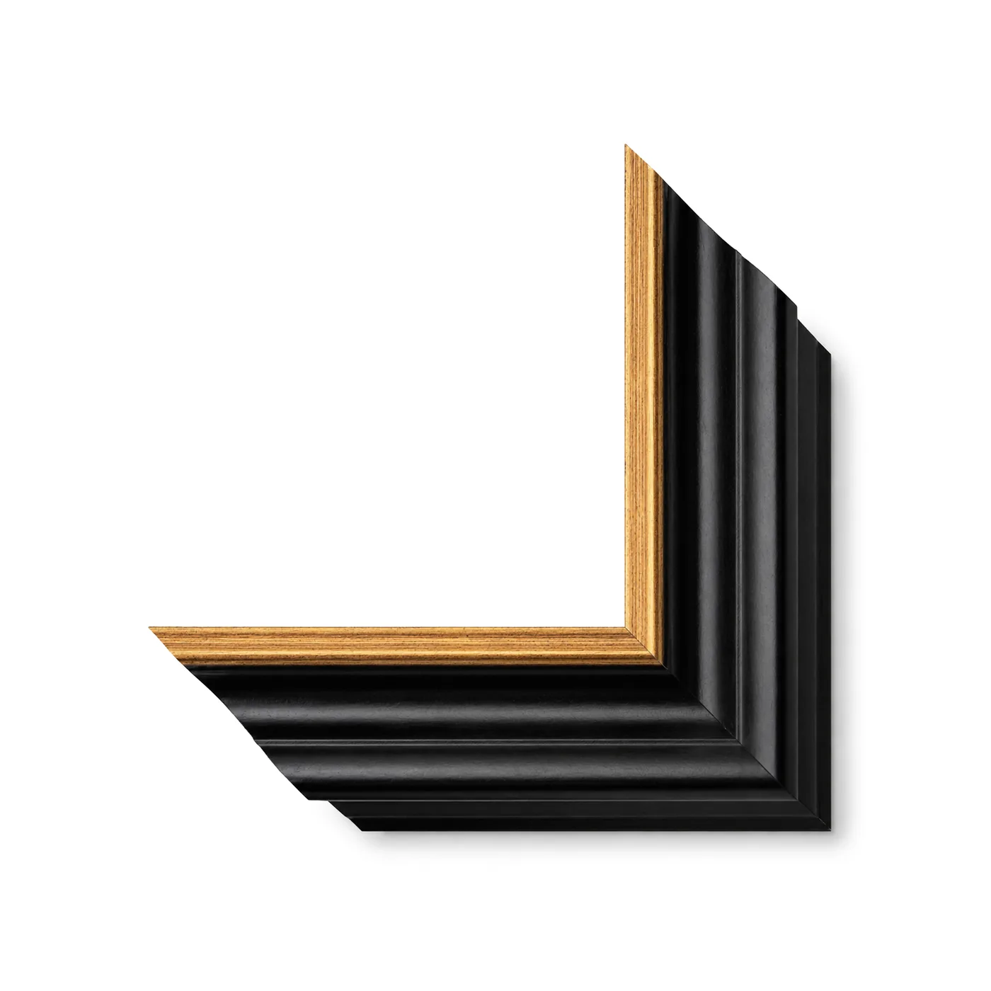 2-11/16" Black Wax w/Gold Lip