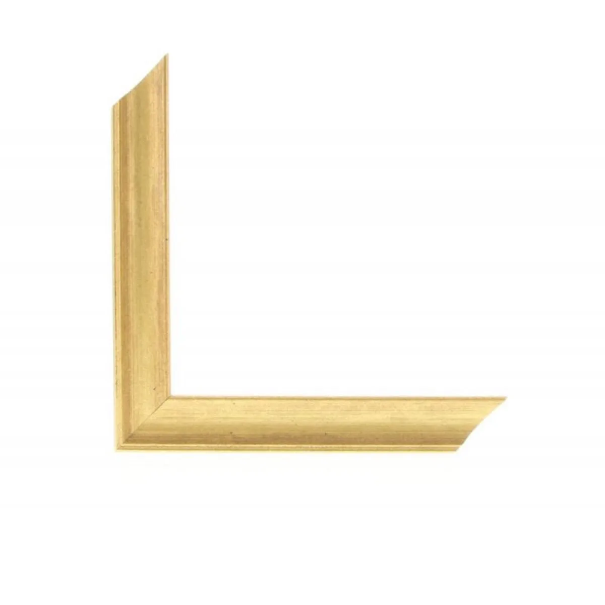 1" Treviso Gold
